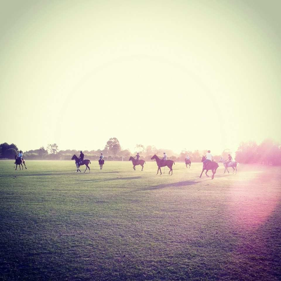 AeWEc0PCMAANTrs.jpg-large