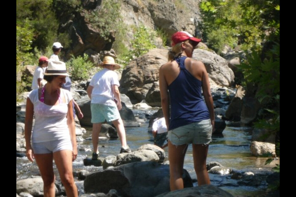 BDrBdckCAAMeoPN.jpg-large